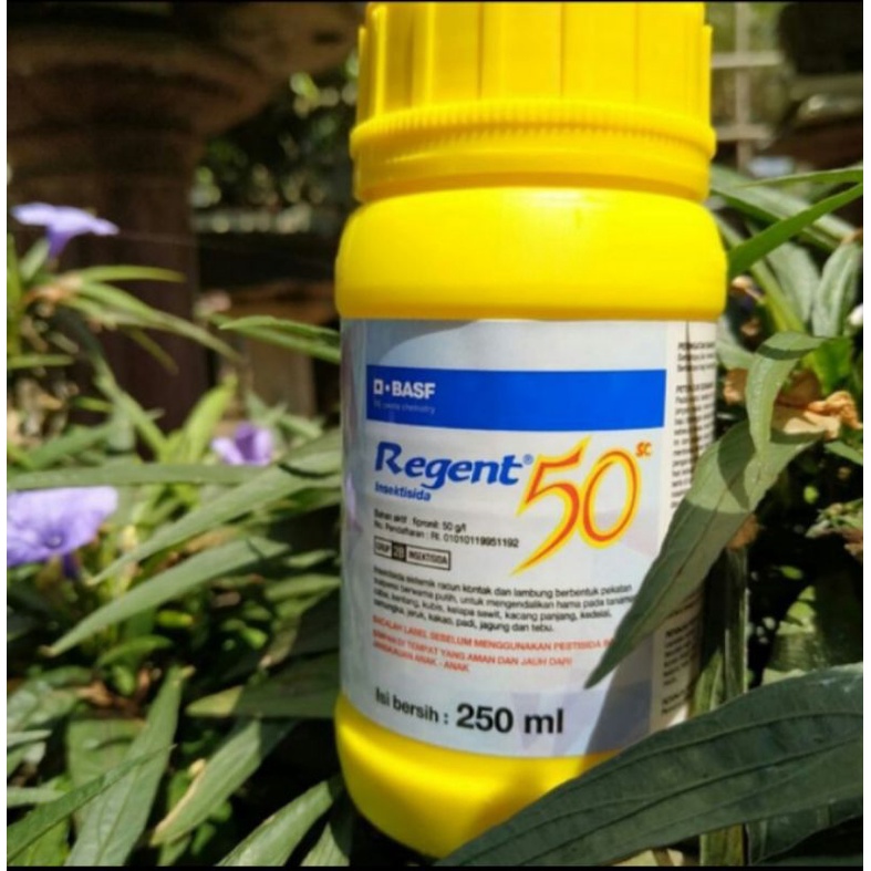 Regent 250ml