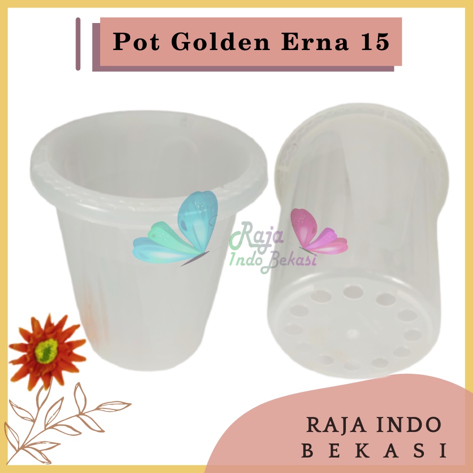 Pot GE15 Golden Erna 15 Transparan Bening Garden Of Love Mirip Pot Yogap 10 13 15 Putih Coklat Merah Bata Bening Transparan Pot Yogap 17 18 19 Pot Yogap Murah Pot Bunga Tinggi Pirus Tegak Bagus Tebal