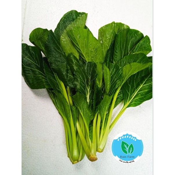 

Caisim/Sawi Hijau 250 gr Rain Farm Sayur Segar Bandung