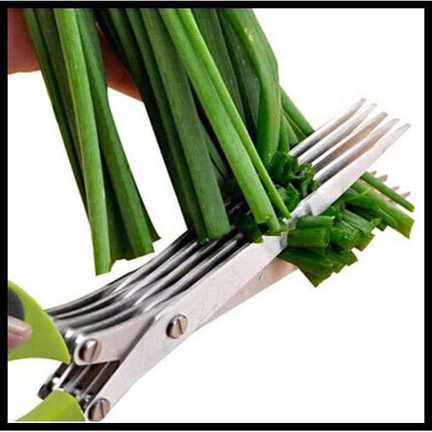 

Best Seller Gunting Banyak Layer Atau Lapisan Untuk Sayur Limited Edition