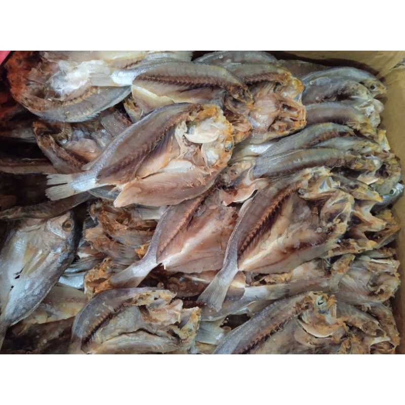 

Ikan Samge/Pala Batu