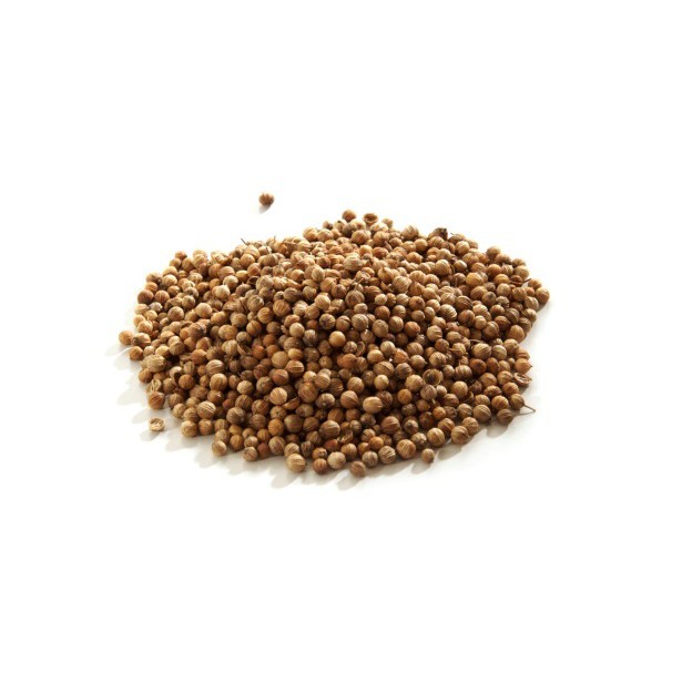 Benih-Bibit Cilantro/Ketumbar (Haira Seed)