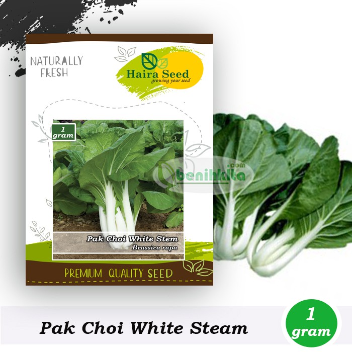 Jual Benih Bibit Sawi Pakcoy White Steam Haira Seed Shopee Indonesia