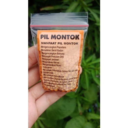 

pil montok khusus wanita khas kalimantan isi 100 biji
