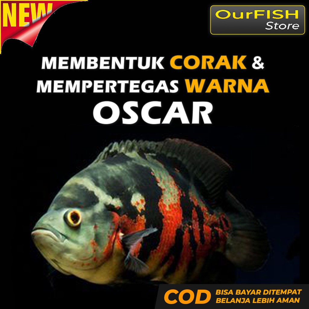 OURFISH - Pakan Ikan Oscar Pelet Makanan Premium Tiger Albino Batik Paris Tembaga Slayer Redoscar