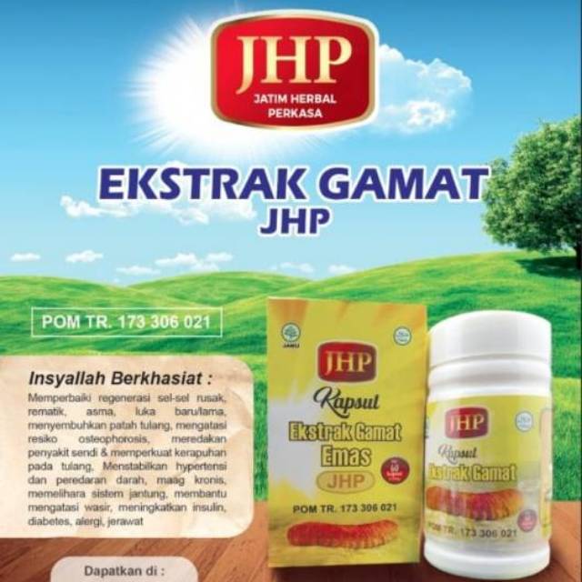 Kapsul gamat emas jhp