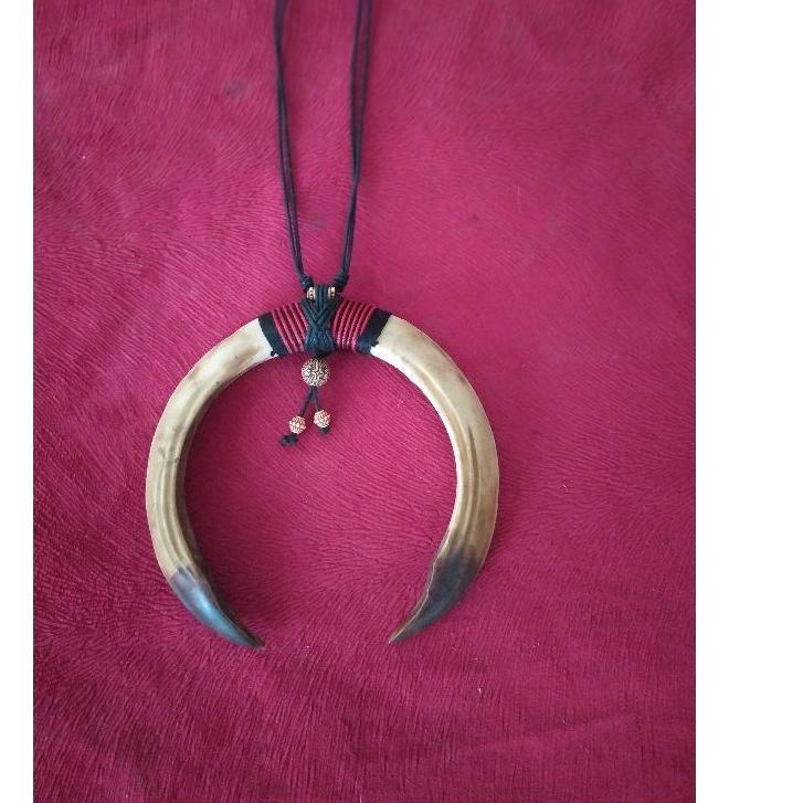 Terbaik Sepasang taring babi | sepasang kalung taring babi