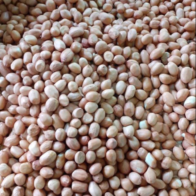 

Kacang tanah ,kacang tuban 500 gram