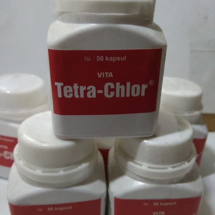 obat ayam vita tetra chlor obat untuk unggas isi 50 kapsul