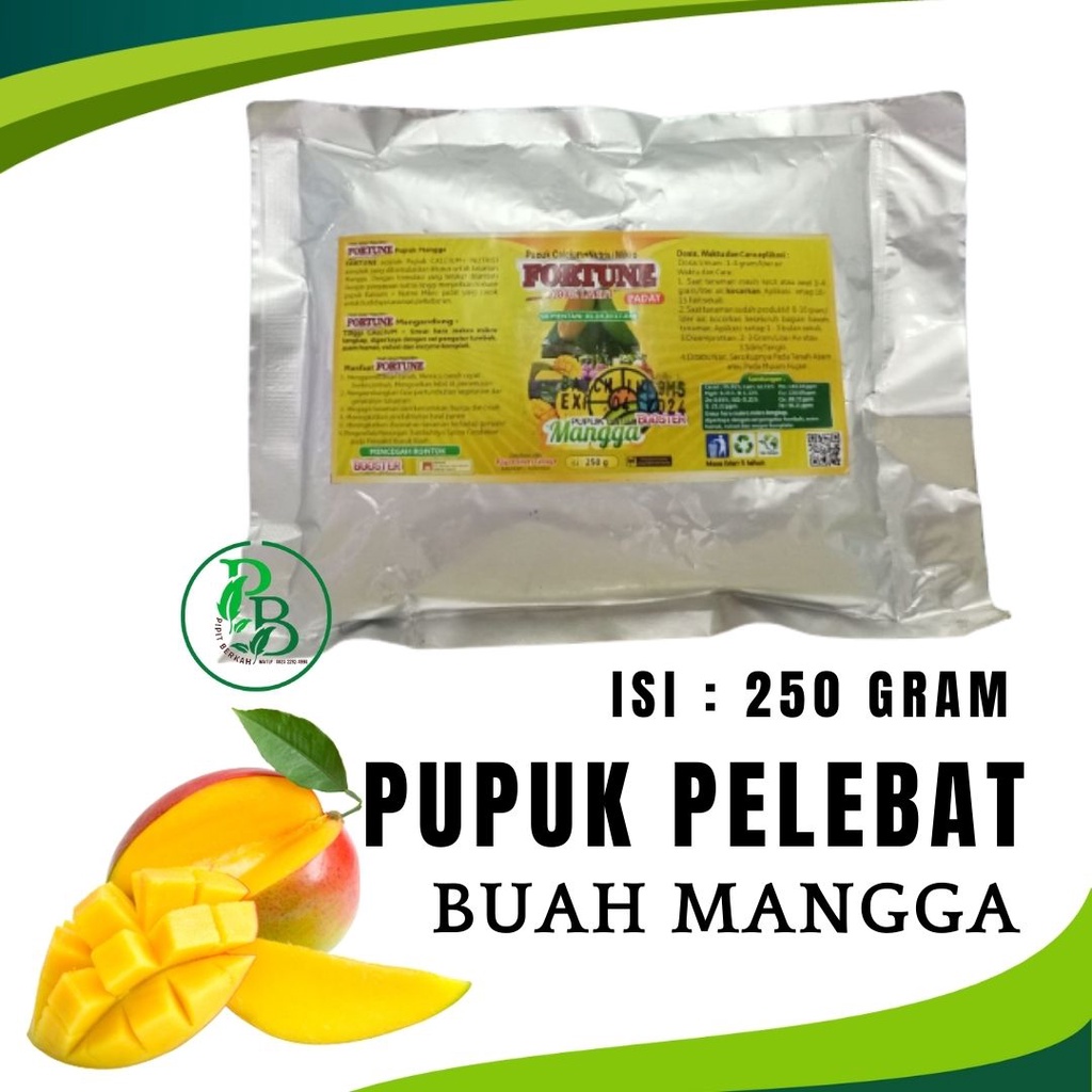 Booster buah mangga agar cepat berbuah , pupuk penguat bibit pohon mangga