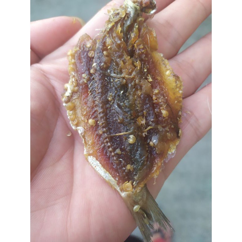 

Ikan Asin Dendeng