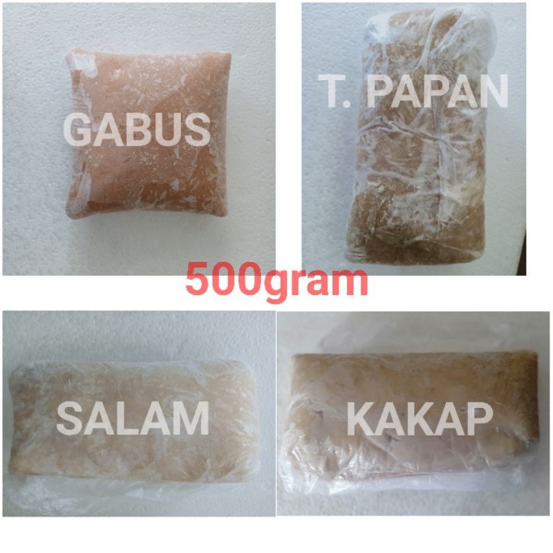 

Tenggiri Papan Giling
