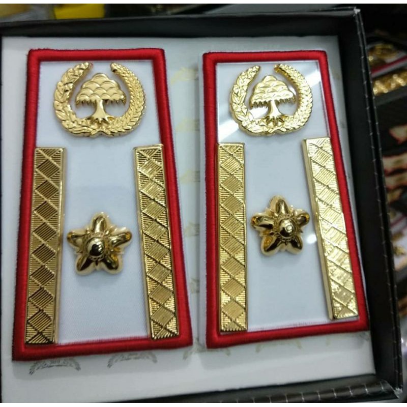 PANGKAT ASN SULAWESI GOL 4A DASAR PUTIH - EXCLUSIVE TERBAIK