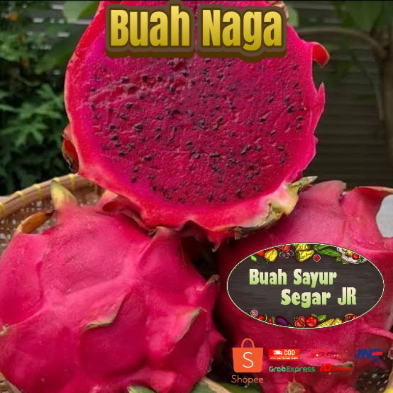 

BUAH NAGA /BUAH NAGA MURAH/BUAH NAGA MALANG