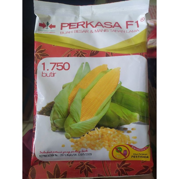 Benih jagung manis PERKASA F1 Dari Cap Panah Merah (Buah besar dan manis tahan lama)