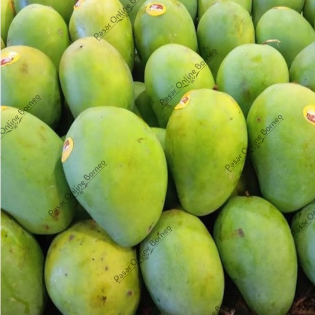 

Buah Segar Mangga Harum Manis Golek Madu 1 Kg