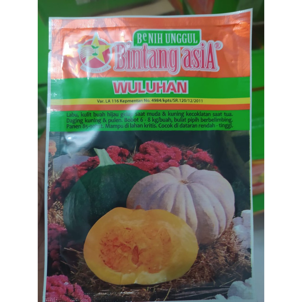 Wuluhan (Benih Labu Kuning) 10gr Bintang Asia