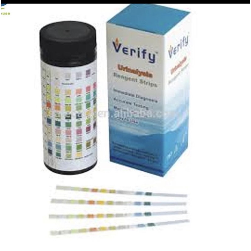 Strip Tes Urine 10 Parameter Verify / Test Urine