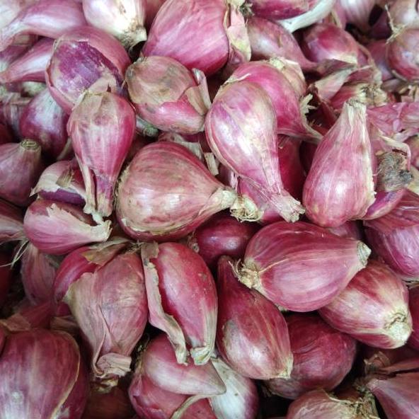 

Bawang Merah Brebes Super 1kg New