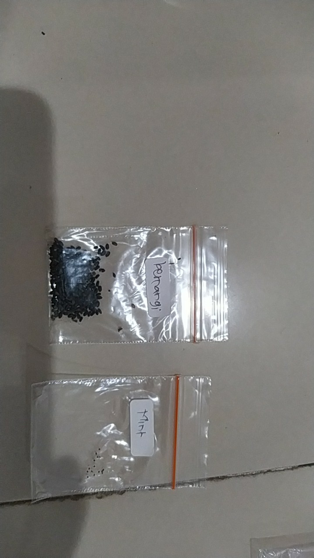 50 Benih Kemangi Repack