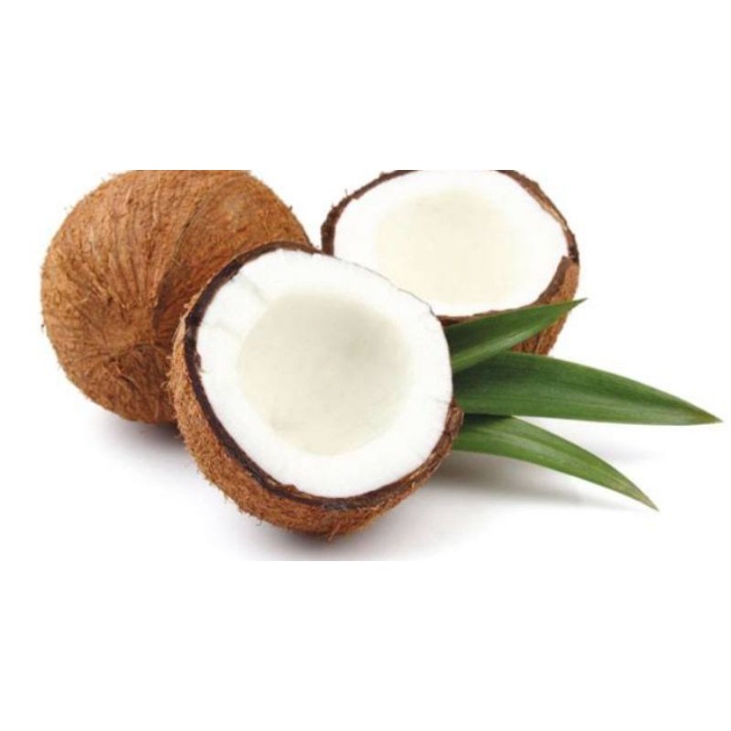 

kelapa tua