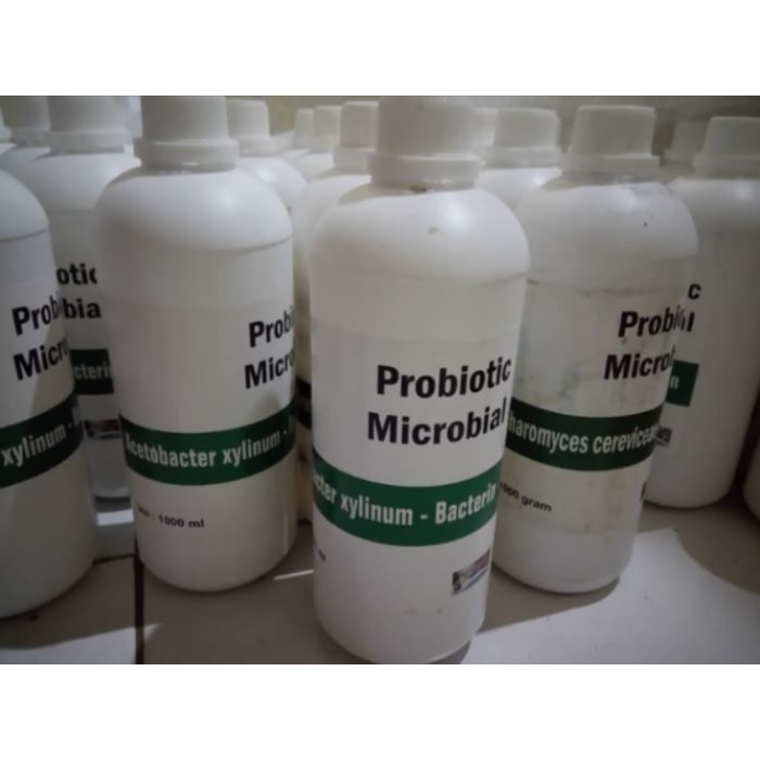 Starter Acetobacter Xylinum 1 Liter Nata De Coco