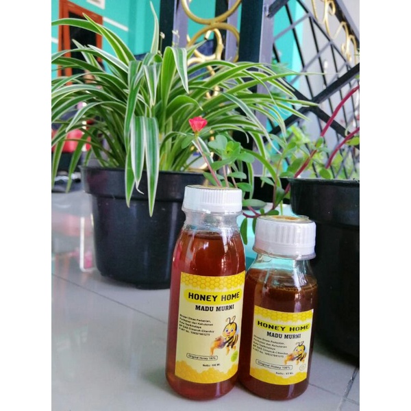 

Madu Ternak Murni/100% Madu asli/100ml