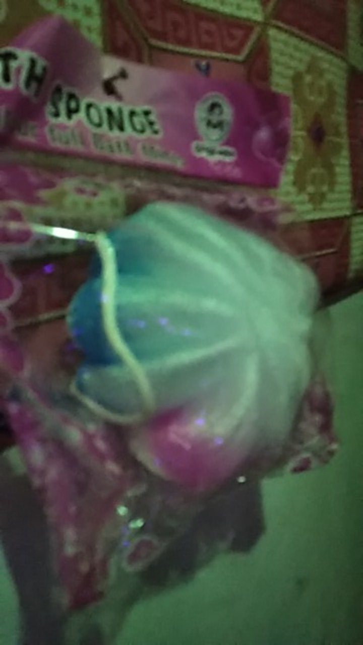 Spon Labu Per 1 Buah