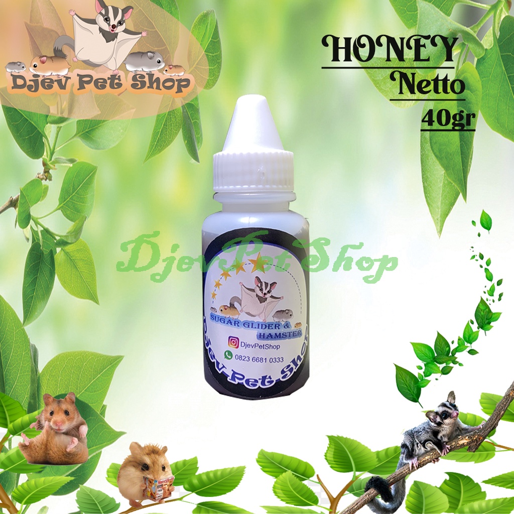 

HONEY 45gr MADU MURNI SUGER GLIDER MARMUR VITAMIN HEWAN