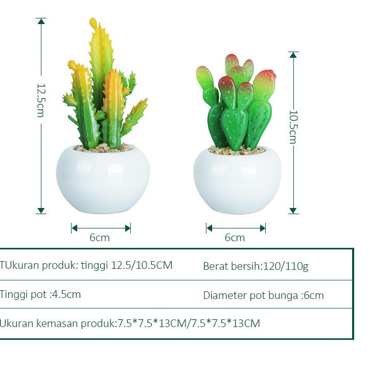 CODE0r5Qf--【COD】Homes bunga hiasan kaktus hias dengan pot plastik tanaman sukulen 