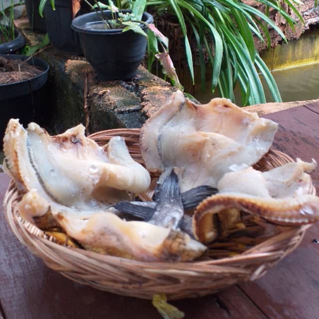 

IKAN ASIN GABUS/ IKAN HARUAN 1/2 Kg