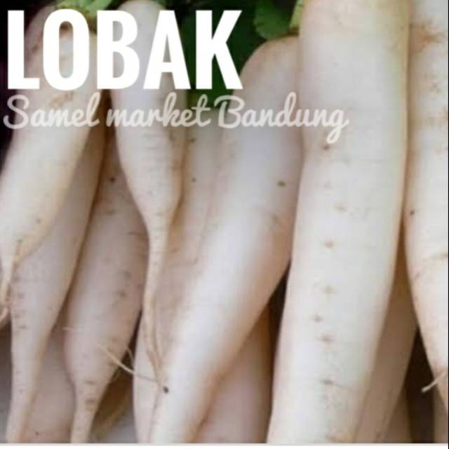 

Lobak Segar 500 gr