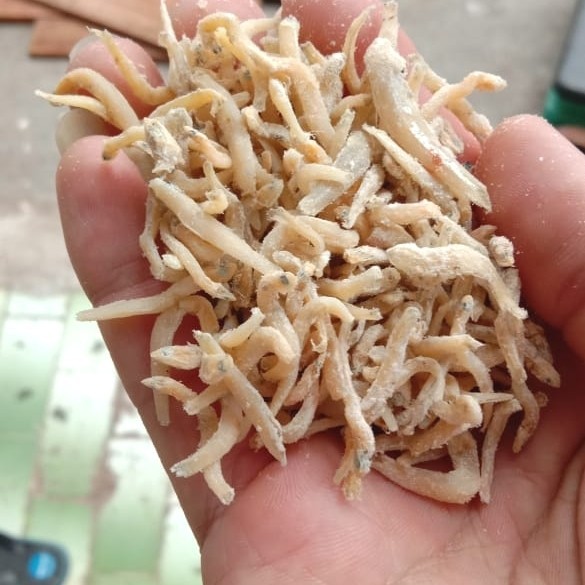 

Ikan Teri Nasi Asin/Teri Nasi Asin/Teri Nasi