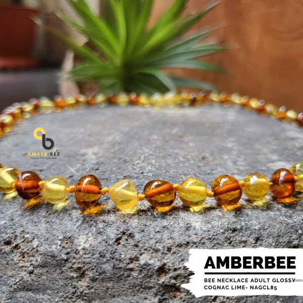 Kalung Amber Dewasa Premium Glossy Cognac Lime by Amberbee NAGCL85