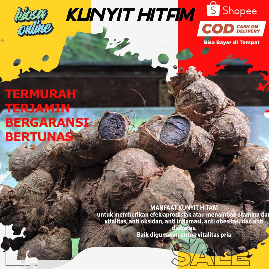 

KUNYIT HITAM KAEMPFERIA PARVIFLORA KUNYIT HITAM ASLI IMPORT 100gram