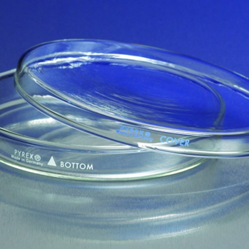 PYREX 3160-101 Petri Dish 100x15 | Cawan Petri COD Langsung