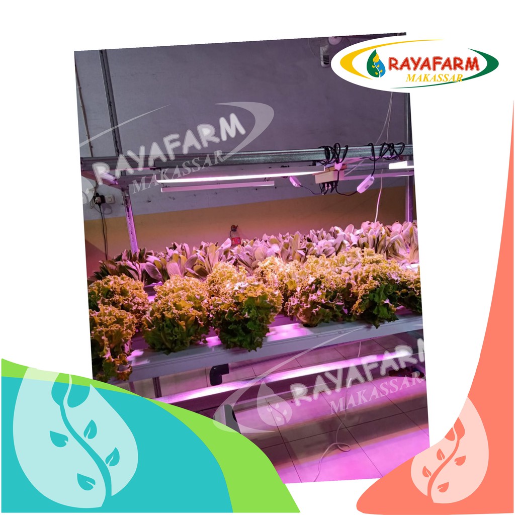 PAKET NFT MINI 60 LUBANG HIDROPONIK