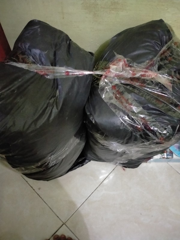 Bantal Silicon Grade Aaaa Uk 50x70cm