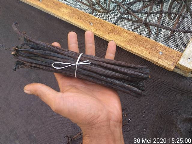 

Vanilla premium gret A /Planivolia (harga per batang)