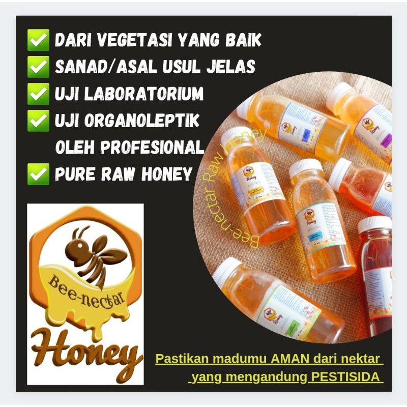

300gr Raw Honey (Unprocessed Honey) Dorsata Wild Forest NTB - Madu Murni Asli