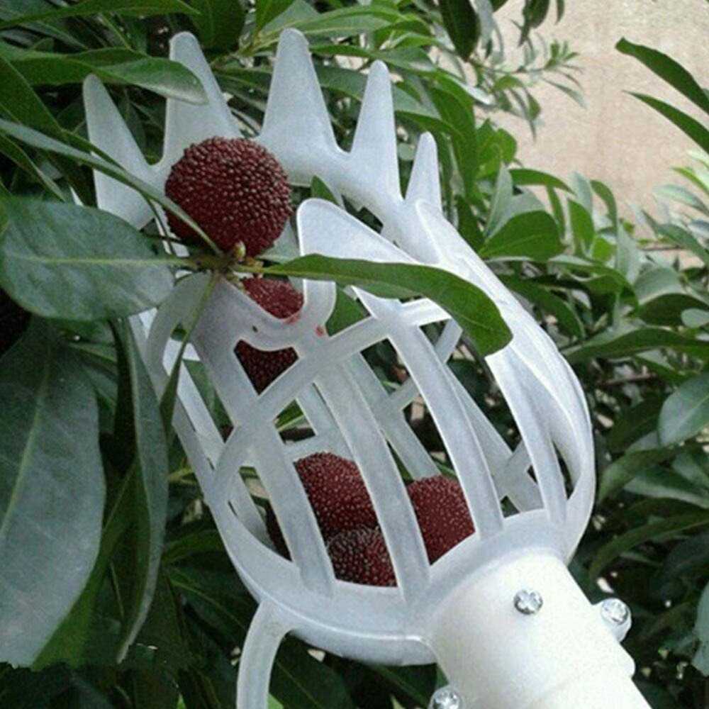 Alat Pemetik Buah Alat Pemetik Buah Mangga Tongkat Pemetik Buah Sekop Pemetik Buah Picker Sekop Pemetik Buah Garden Fruit Picker Tool Sekop Pemetik Buah Fruit Alat Petik Buah Tongkat Petik Buah