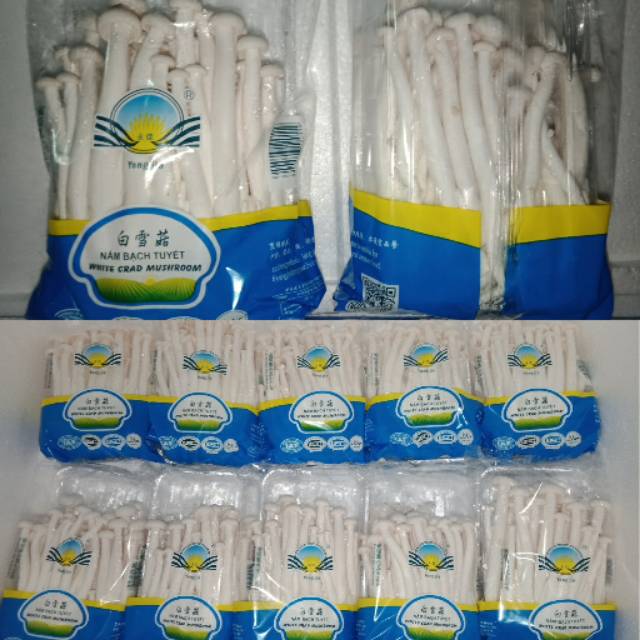 

Jamur Salju ( white crabs )