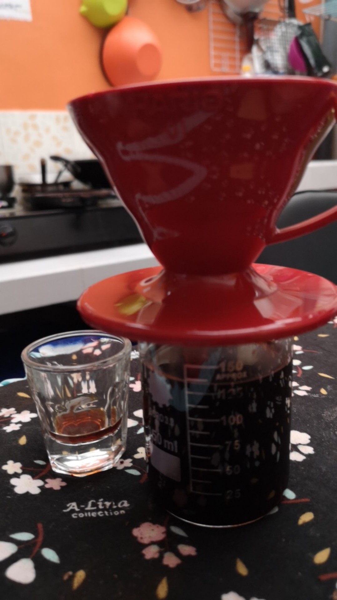 Hario V60 Promo Paper Filter 01 + Plastic Dripper 01 White