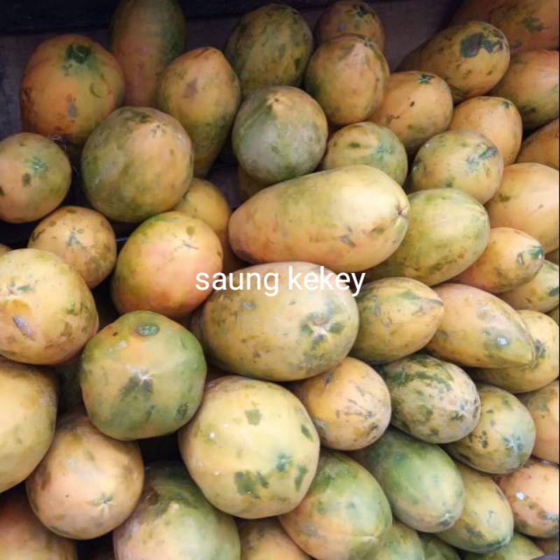 

PEPAYA CALIFORNIA 1-1,2kg