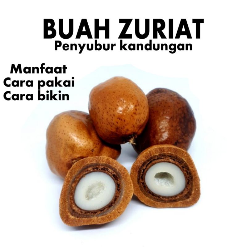 

buah zuriat ibnu sina kemasan 3 buah / penyubur kandungan
