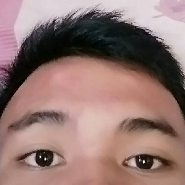 erlanggajohan