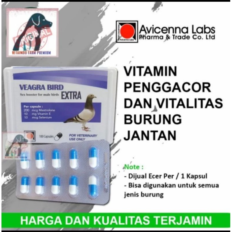 VEAGRA BIRD EXTRA AVICENNA LABS VITAMIN BURUNG JANTAN TOP STAMINA