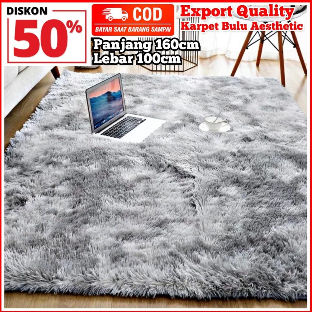 KARPET BULU EMPUK TEBAL 5CM (160X100X5CM) / KARPET BULU TEBAL MURAH / KARPET BULU KEKINIAN MINIMALIS