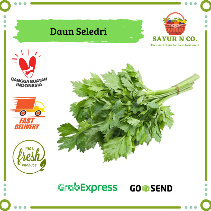 

Daun Seledri Segar | Sayur N Co Bekasi