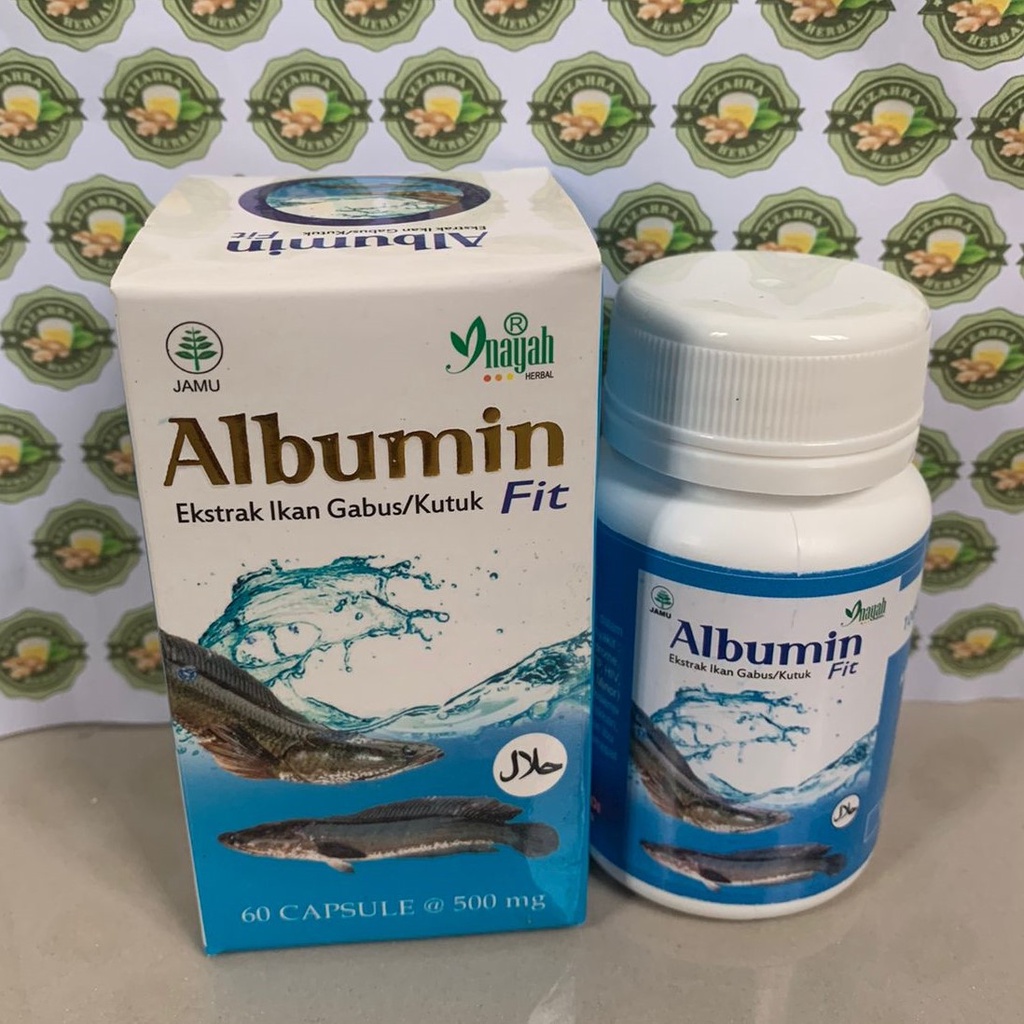 Albumin Fit Premium 5x - Mempercepat Penyembuhan Pasca Operasi - Ekstrak Ikan Gabus 60 Kapsul Albumin Fit Ekstrak Ikan Gabus / Kutuk 60 Kapsul